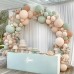Fog Green Pink Balloons Arch Kit, Mist Dusty Green Light Pink Nude Sand White Boho Balloons Garland Kit for Boho Party Baby Shower Birthday Wedding Decorations…